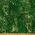 Fabric Hoffman Hunter/Gold Brilliance Metallic by the Quarter Yard W5363-60G