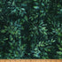 Fabric Hoffman Hunter Leafy Big Foot Bali Batiks by the Quarter Yard X2646-60