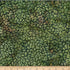 Fabric Hoffman Olive Forest Clearing Bali Batiks by the Quarter Yard X2631-96