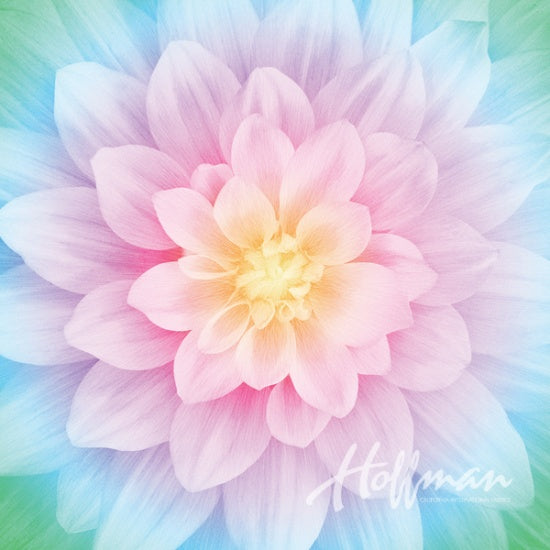 A large pastel flower with pink, lavender, and blue petals surrounding a soft yellow center, with a white Hoffman signature watermark near the lower right.