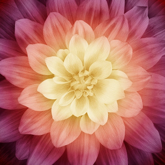 Fabric Hoffman Sugarplum Dream Big 43" Panel P4389-286