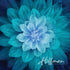 Fabric Hoffman Teal Dream Big 43" Panel P4389-21