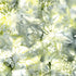 Fabric Lumin Green/Yellow/Glacier Floral Spray Island Batiks by the Quarter Yard 912501830