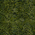 Green and black patterned fabric texture