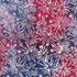 Fabric Lumin Red Blue Dusty Bursting Stars Jubilee Island Batiks by the Quarter Yard 122453817