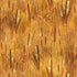 Close-up of reeds with a warm brown color palette