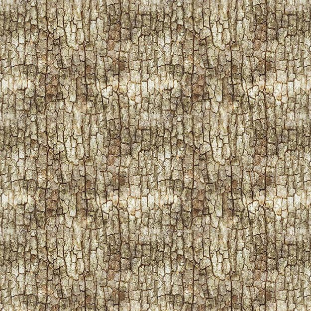 Close-up of tree bark fabric