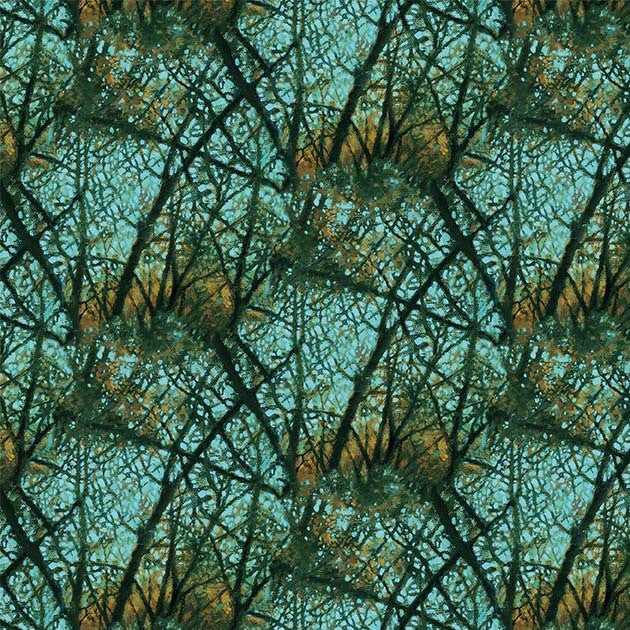 Artistic depiction of tree branches against a teal background