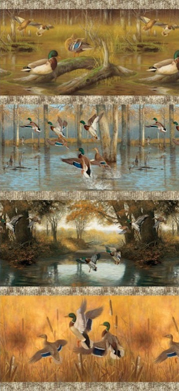 Collage of various scenes with ducks in different settings