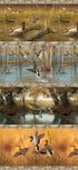 Collage of various scenes with ducks in different settings