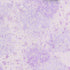Fabric Michael Miller Orchid Pearlized Metallic Fairy Frost by the Quarter Yard CM0376-ORCH