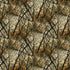 Tree branches with nests in a forest setting