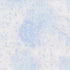 Fabric Michael Miller Wedgewood Pearlized Metallic Fairy Frost by the Quarter Yard CM0376-WEDG