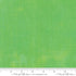 Fabric Moda Kiwi Grunge Basics by the Quarter Yard 30150-304