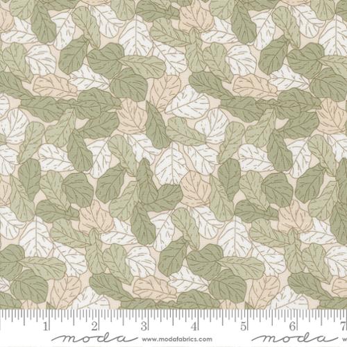 Fabric Moda Sage Fiddle Leaf Potted by the Quarter Yard 26144-32