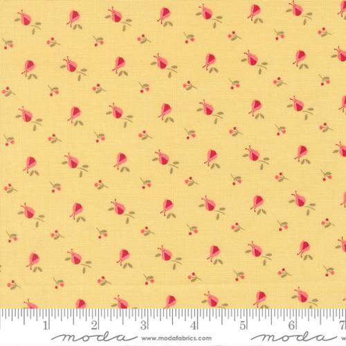 Fabric Moda Sunwashed Ladybugs Lyda Rose by the Quarter Yard 3075-14