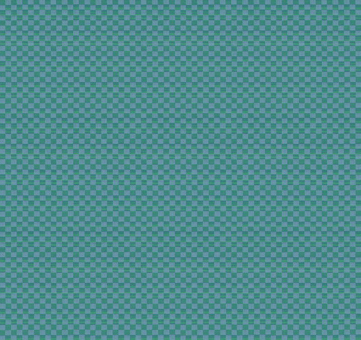 Anna Maria Check Mates Woven Fabric WAMT110-21V