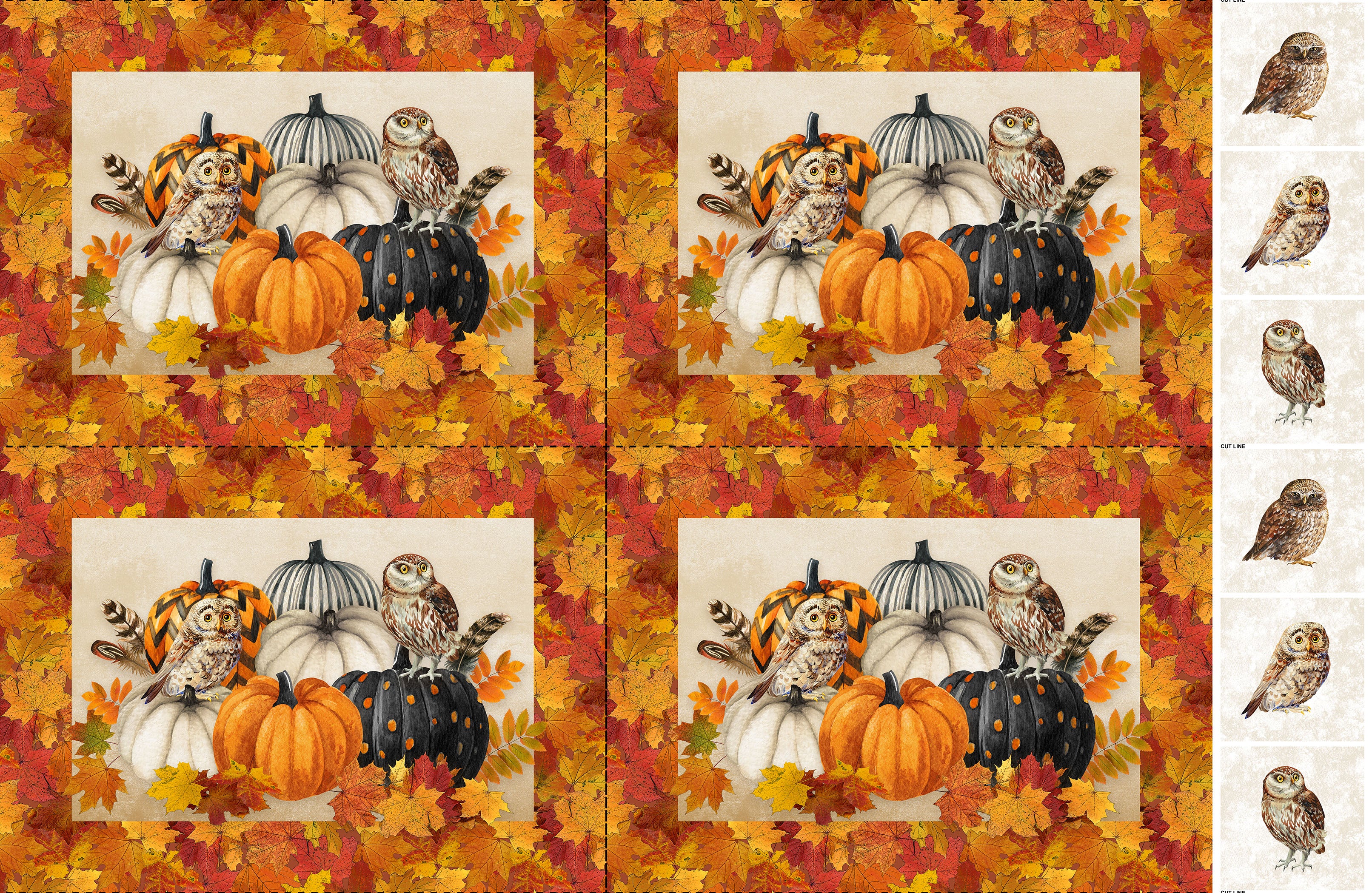 Fabric Northcott Beige Night Owl Placemats Panel C28844-12