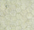 Fabric Northcott Khaki Hexies Banyan Batiks by the Quarter Yard 81700-77