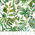 Fabric Northcott Multi Cream Leaves Luscious by the Quarter Yard DP28751-11