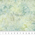 Fabric Northcott Seaglass Ladybug Meadow Banyan Batiks by the Quarter Yard 83651-50