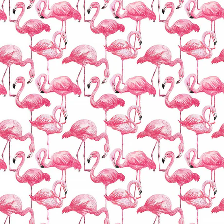 Fabric Northcott White Flamingos Coastal Breeze by the Quarter Yard DP28561-10