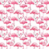 Fabric Northcott White Flamingos Coastal Breeze by the Quarter Yard DP28561-10