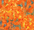 Fabric Northcott Wild Orange Spooky Tree Happy Haunting Banyan Batiks by the Quarter Yard 83706-59