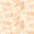Fabric P & B Textiles Peach Cloudy Texture Let's Go On An Adventure by the Quarter Yard LGOA5940-NE