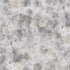 Fabric P & B Textiles Silver Underwater Texture Reef 108" Wide Back by the Quarter Yard 6155-S