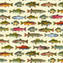 Pattern of various colorful fish illustrations on a beige background