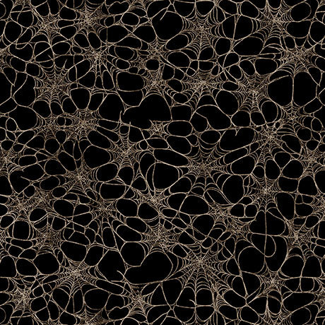 Close-up of a spider web on a black background