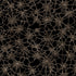 Close-up of a spider web on a black background
