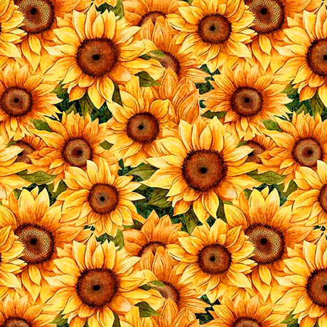 Fabric QT Green Packed Sunflowers Sunflower Serenade by the Quarter Yard 31804-G
