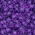 Purple spider web pattern on a dark purple background