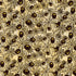 Pattern of black pumpkins and spider webs on a beige background