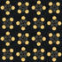 Fabric Riley Blake Black Jacks Spooky by the Quarter Yard C17576-BLACK