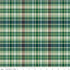 Fabric Riley Blake Green Fisher Plaid-Venture Club by the Quarter Yard C17045-GREEN