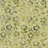 Fabric Riley Blake Lemongrass Backyard Birds Expressions Batiks by the Quarter Yard BT23583-721