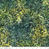Fabric Riley Blake Peridot Fern Twirl & Swirl Elemental Batiks by the Quarter Yard BT21900-325