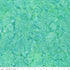 Fabric Riley Blake Pool Party Shells Expressions Batiks Places You'll Go by the Quarter Yard BT23222-­282