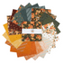 Fabric Riley Blake Precuts Happy Fall Days 42pc 10" Stackers 10-16340-42