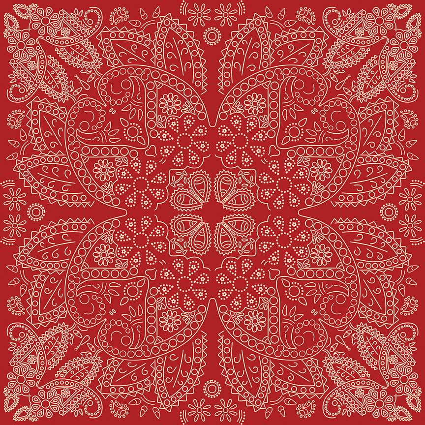 Fabric Riley Blake Red Bandana Cowboys Designer Flannel by the Quarter Yard F17508-RED