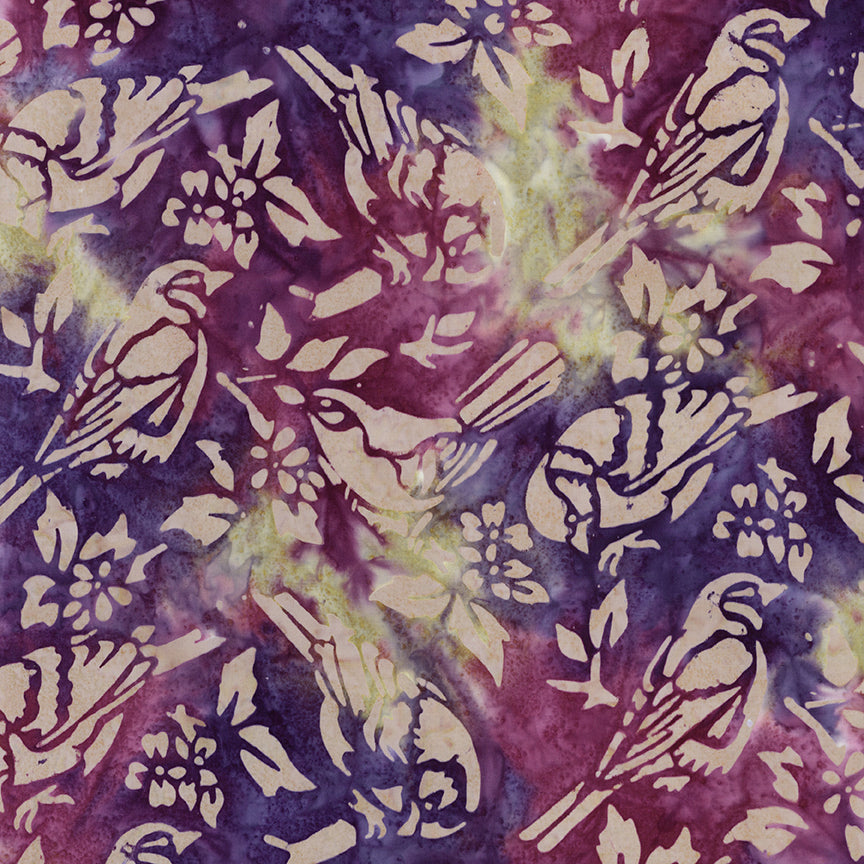Fabric Riley Blake Spunky Backyard Birds Expressions Batiks by the Quarter Yard BT23580-585