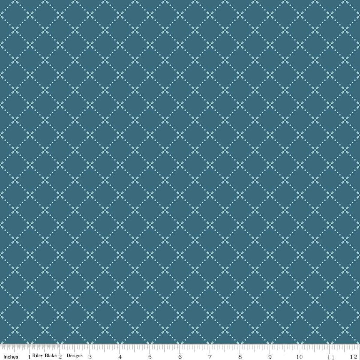Fabric Riley Blake Stargazer Grid Mary Catherine by the Quarter Yard C16704-STARGAZER
