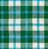 Fabric Ruby Star Society Jade Juliet Plaid Warp and Weft Mystic Fable by the Quarter Yard RS4157-11