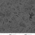 Fabric Studio E Charcoal Crew Lineup Haunted Acre Wood by the Quarter Yard 9133-90