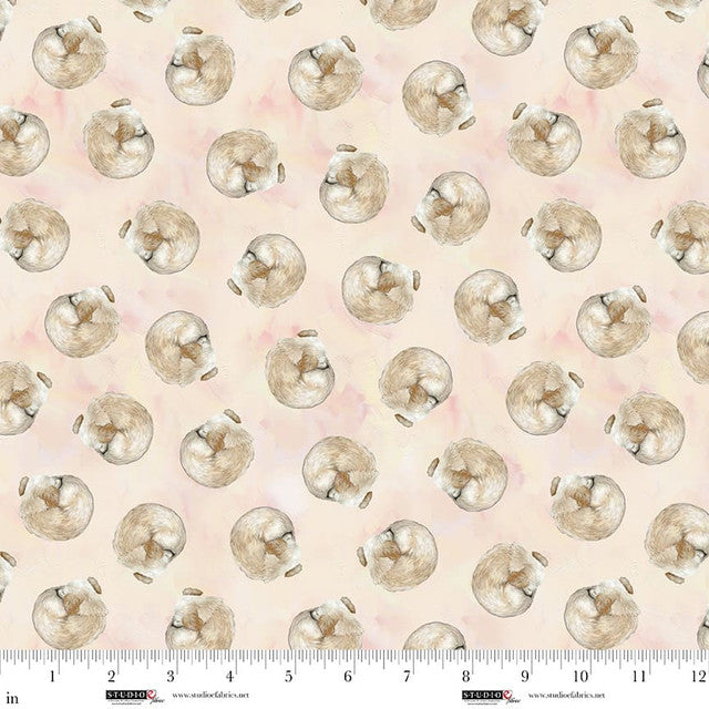 Fabric Studio E Peach Pancake the Pooch Sweet Child of Mine by the Quarter Yard 8663-23