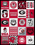 Fabric Sykel Enterprises University of Georgia Collegiate T-Shirt Minky Panel GA1362