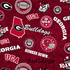 Fabric Sykel Enterprises University of Georgia Home State by the Quarter Yard GA1208